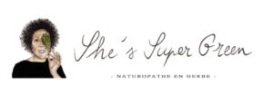 Logo pour un blog - version 2
