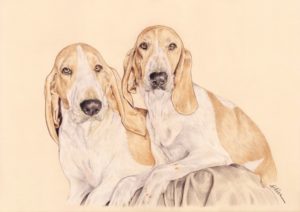 Portrait dessin d'après photo de deux chiens en couleur