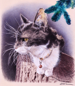 Portrait dessin d'un chat noir et blanc