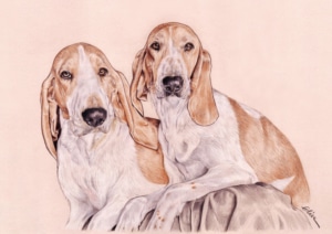 Portrait dessin d'après photo de deux chiens en couleur