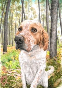 Portrait dessin d'épagneul en forêt