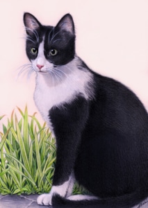 Portrait dessin d'un chat en extérieur