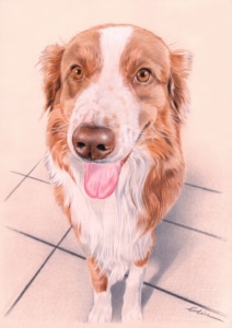 Portrait dessin d'un chien assis