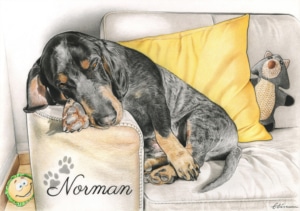 Portrait dessin d'un chien faisant la sieste