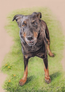Portrait dessin d'un chien sur fond de prairie