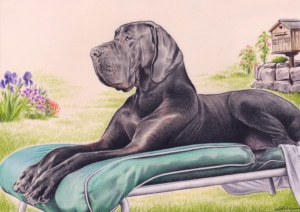 Portrait dessin d'un chien sur un transat