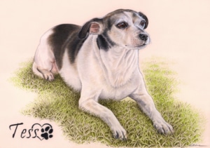 Portrait dessin d'une petite chienne