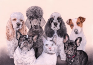 Portrait dessin de chats et de chiens d'après plusieurs photos