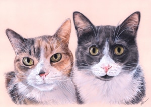 Portrait dessin de deux chats