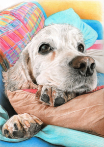 Dessin portrait de chien sur le canapé