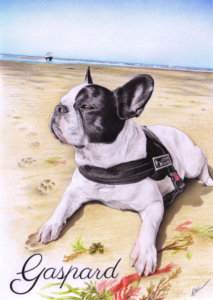 Portrait dessin d'un chien bouledogue à la mer