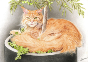 Portrait dessin de chat roux allongé