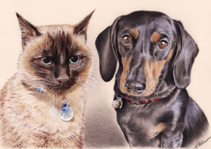 Dessin d'animaux de compagnie à partir de plusieurs photos